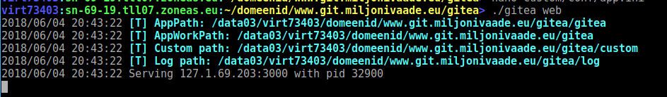 Seadistatud Gitea käivitus